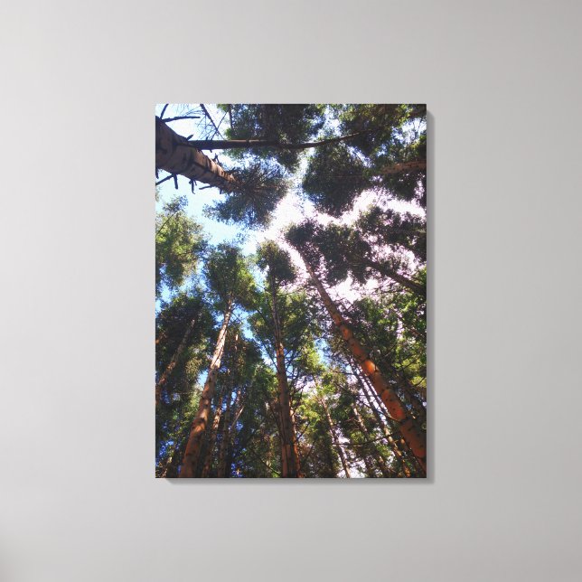 Aufstehen Leinwanddruck (Vorderseite)