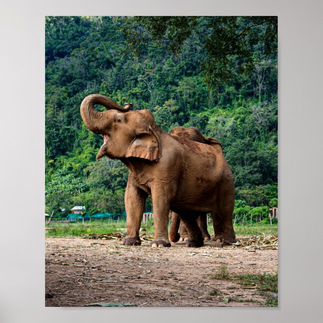 Aufstehen und hören poster (Vorne)