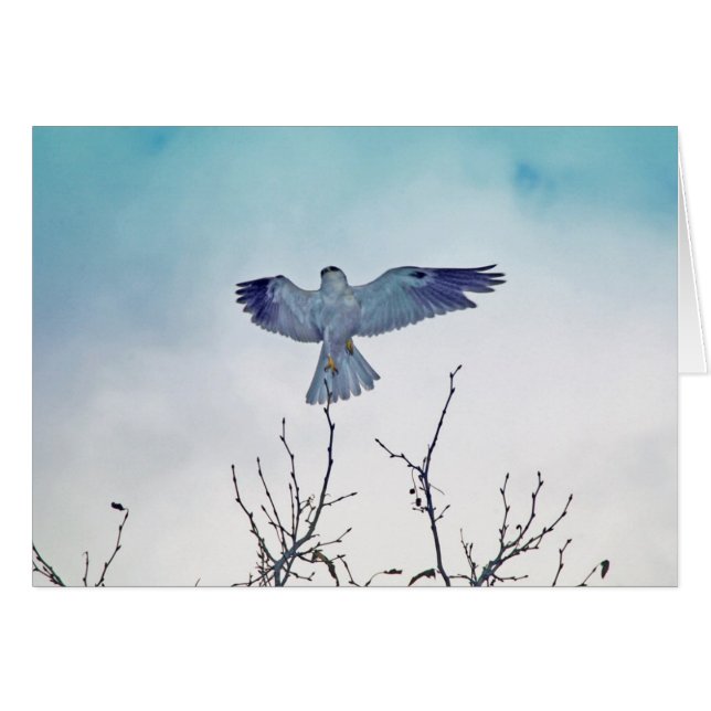 Aufstieg (Vorderseite (Horizontal))