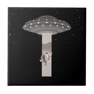 Aufstieg, Scooty Fliese