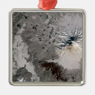 Aufstiege einer Aschenreich-Feder Ornament Aus Metall