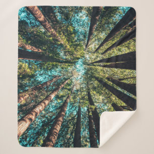 AUFSUCHEN SHERPADECKE