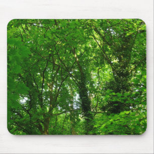 Aufwärts in den Bäumen Mousepad