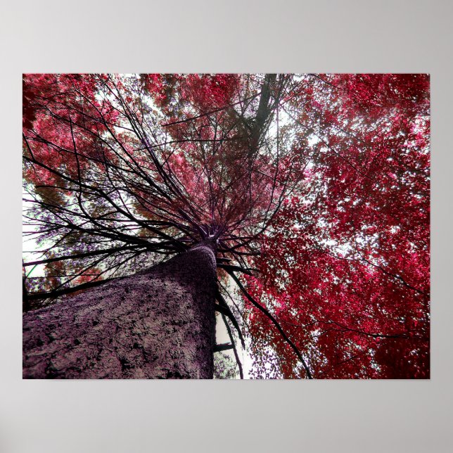 Aufwärts Poster (Vorne)