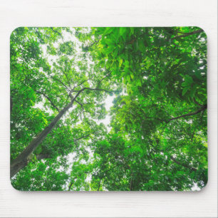 Aufwärtsblick auf Bäume Mousepad