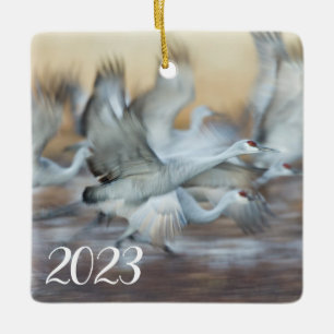 Aufzug von Sandhill Cranes Keramikornament