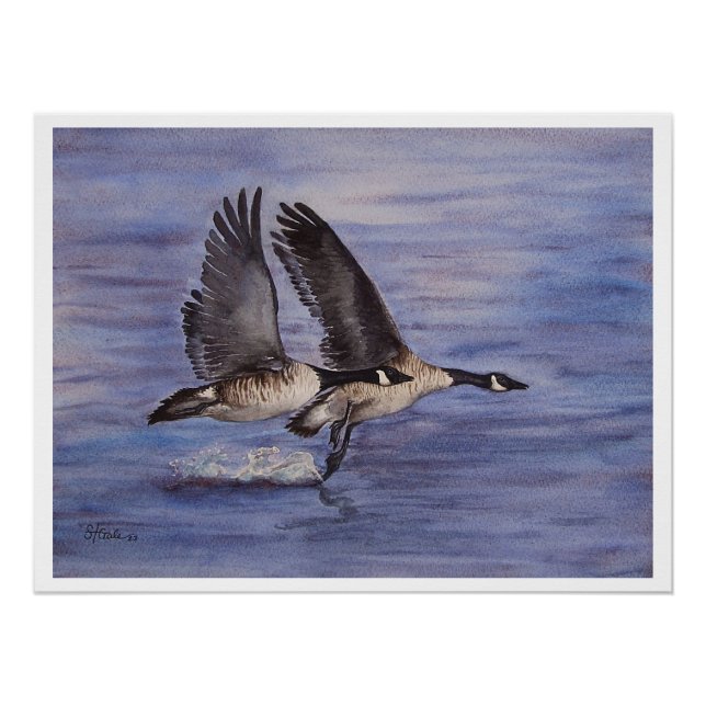 Aufzug weg - kanadische Gänse Poster (Vorderseite)