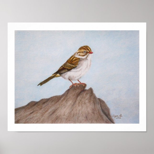 Auge am Sparrow 11"x14" Print Poster (Vorne)