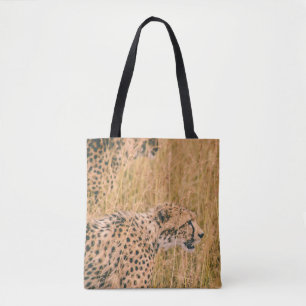 AUGE AUF DEM ZIEL - LEOPARD TIERE FOTO