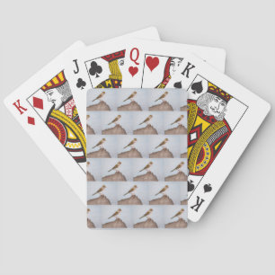 Auge auf den Sparrow-Spielkarten Spielkarten