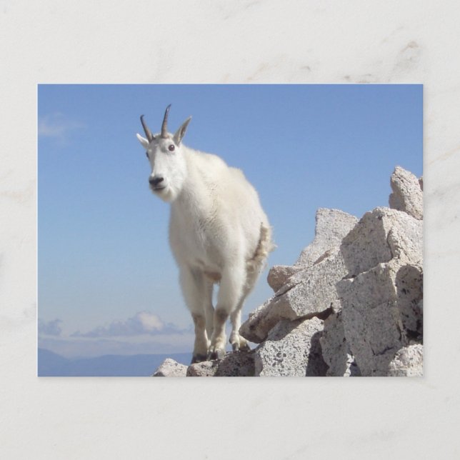 Auge auf dich postkarte (Vorderseite)