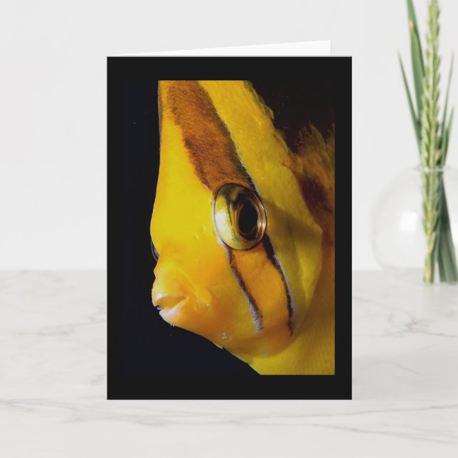 Auge bis Augen Karte (Vorderseite)