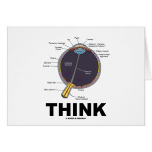 (Auge) Denken (anatomischer Spaß)
