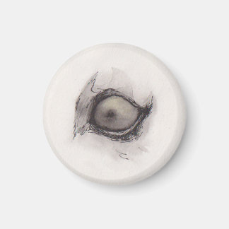 Auge der Hyäne – Gaze Collection Magnet