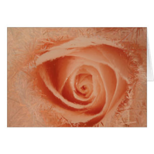 Auge der Rose