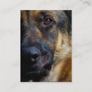 Auge der Schäfer-Visitenkarten Visitenkarte