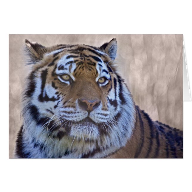 Auge der Tigerkarte (Vorderseite (Horizontal))