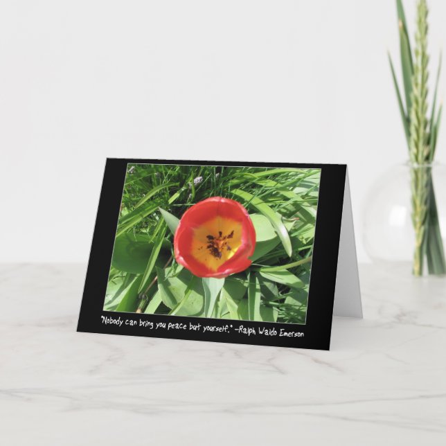Auge der Tulpe Karte (Vorderseite)