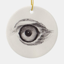 Auge des Adlers – Gaze-Kollektion