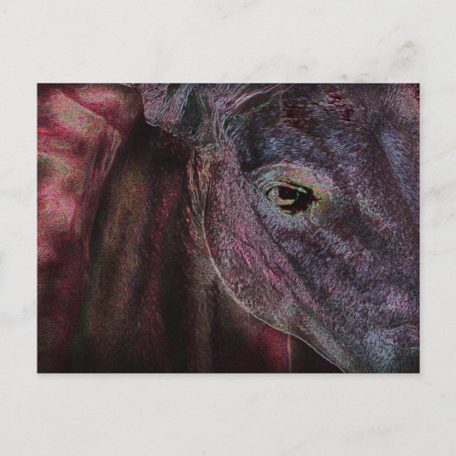 Auge des Betrachters - Postkarte (Vorderseite)