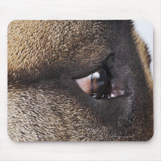 Auge des Großen Dans Mousepad (Vorne)