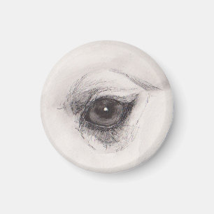 Auge des Kamels – Gaze-Kollektion Magnet