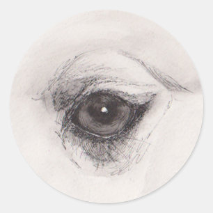 Auge des Kamels – Gaze-Kollektion Runder Aufkleber