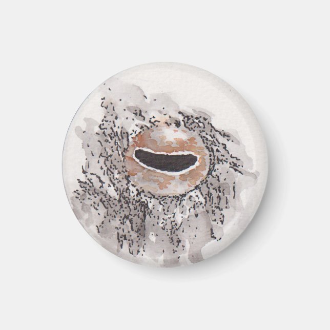 Auge des Oktopus – Gaze Collection Magnet (Vorne)