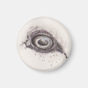 Auge des Schafs – Gaze Collection Magnet