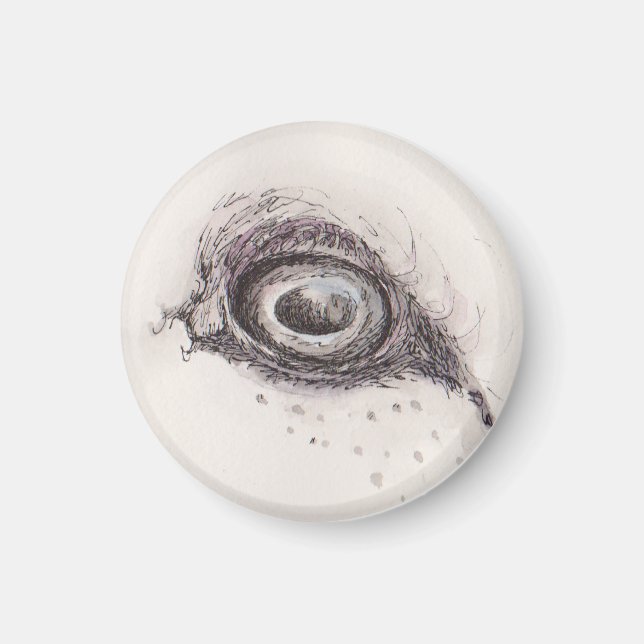 Auge des Schafs – Gaze Collection Magnet (Vorne)