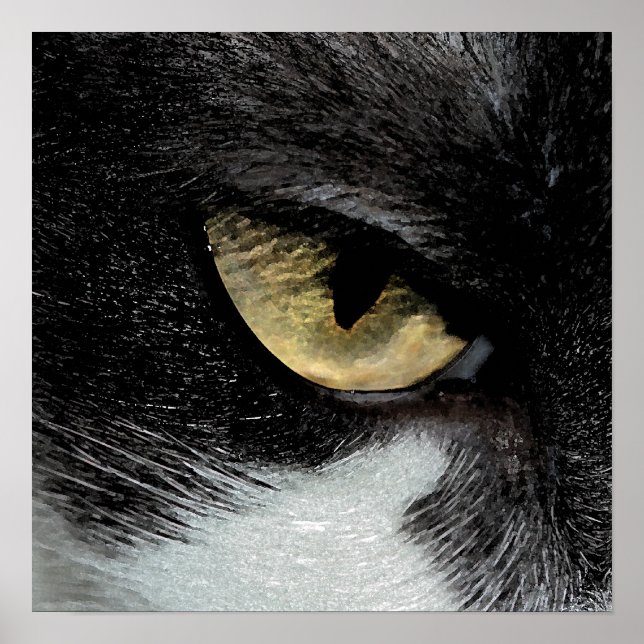 Auge des Tigers Poster (Vorne)