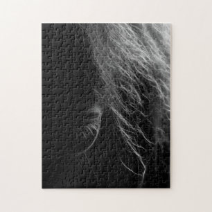 Auge eines Pferdes Puzzle