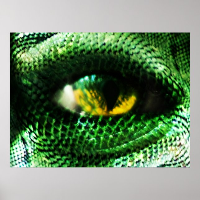 Auge eines ... ? poster (Vorne)