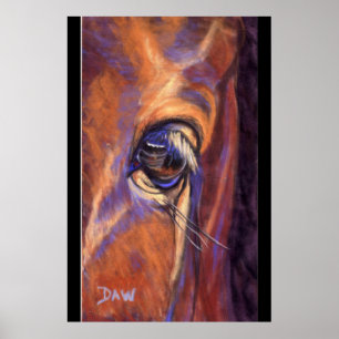 Auge eines Thoroughbred Poster