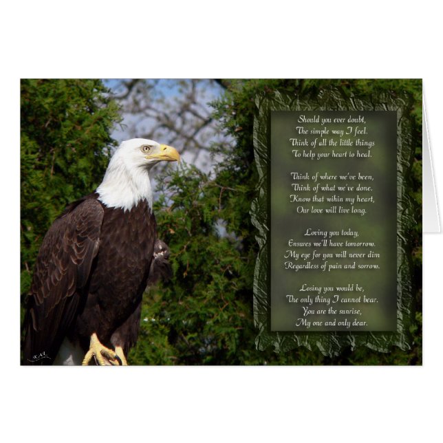 Auge für Sie (Vorderseite (Horizontal))