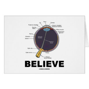 Auge glauben (anatomischer Spaß)
