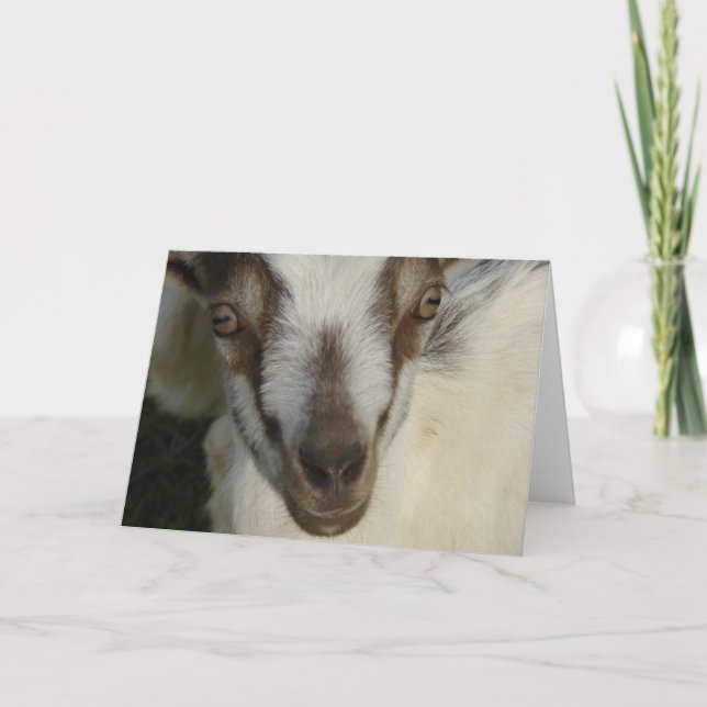 Auge sieht dich karte (Vorderseite)