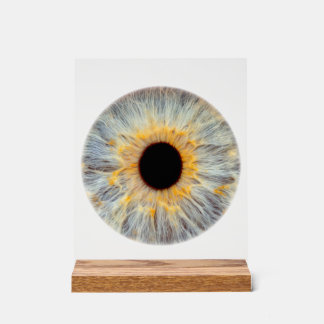 Augen-Acrylschild Acrylschild