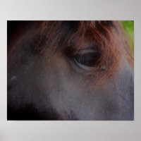 Augen des Percheron-Souls