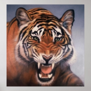Augen des Tigers Poster