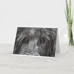 Augen, die hypnotisieren karte