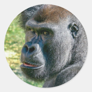 Augen, die zuhören – Lope der Gorilla Runder Aufkleber