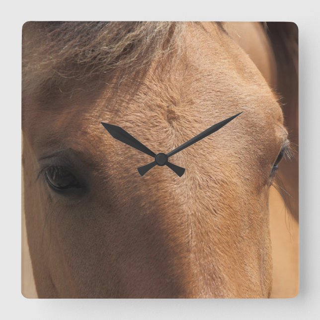 Augen einer Brown-Pferdequadrat-Wanduhr Quadratische Wanduhr (Vorderseite)
