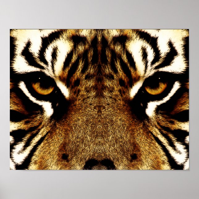 Augen eines Tigers Poster (Vorne)
