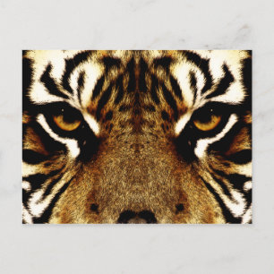 Augen eines Tigers Postkarte