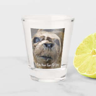 Augen für Sie Hafen-Siegelwelpe Schnapsglas