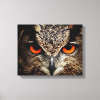 Augen