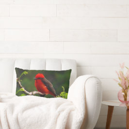 Augen-Lumbalkissen Lendenkissen