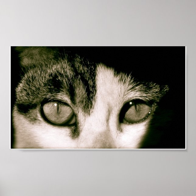 Augen Poster (Vorne)