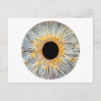 Augen-Postkarte Postkarte